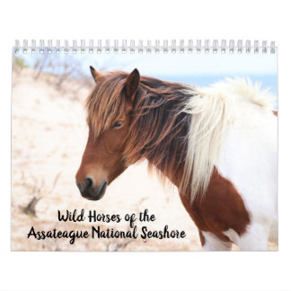 Calendário de Cavalos Selvagens de Assateague