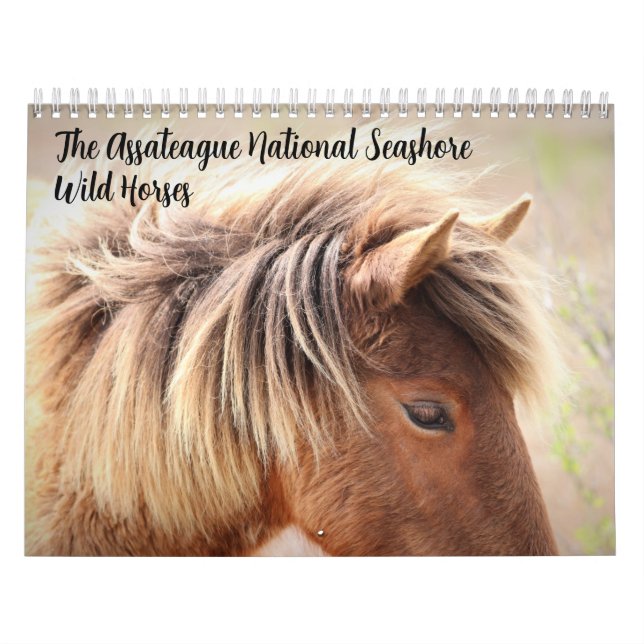 Calendário de Cavalos Selvagens de Assateague (Capa)