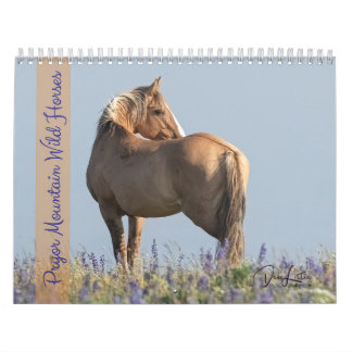Calendário de Cavalos Selvagens de Pryor Mountain