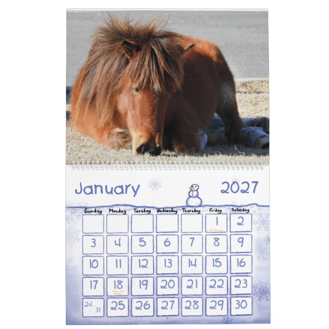 Calendário de Cavalos Selvagens, Ilha de Assateagu (Jan 2027)