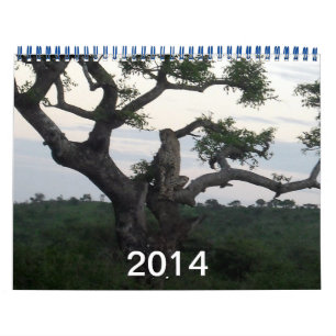 Calendário de Chita 2014