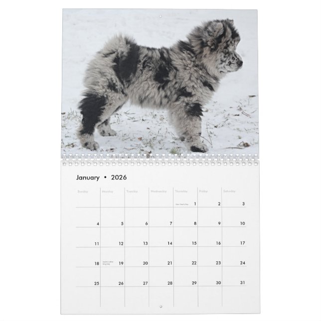Calendário de Chow Personalizado Sophia 2015 (Jan 2026)