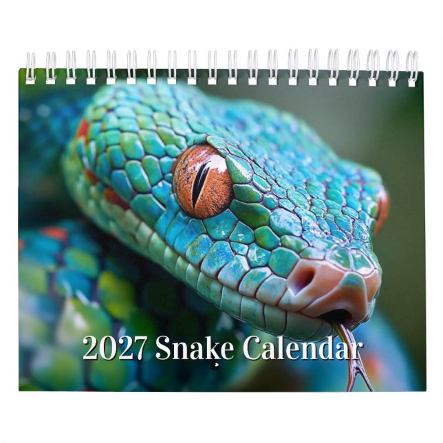 Calendário de Cobra 2027 (Capa)