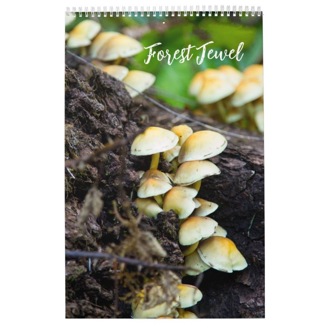 Calendário de Cogumelos da Floresta (Capa)