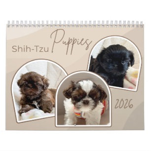 Calendário de Colagem de Fotos de Filhotes de Shih