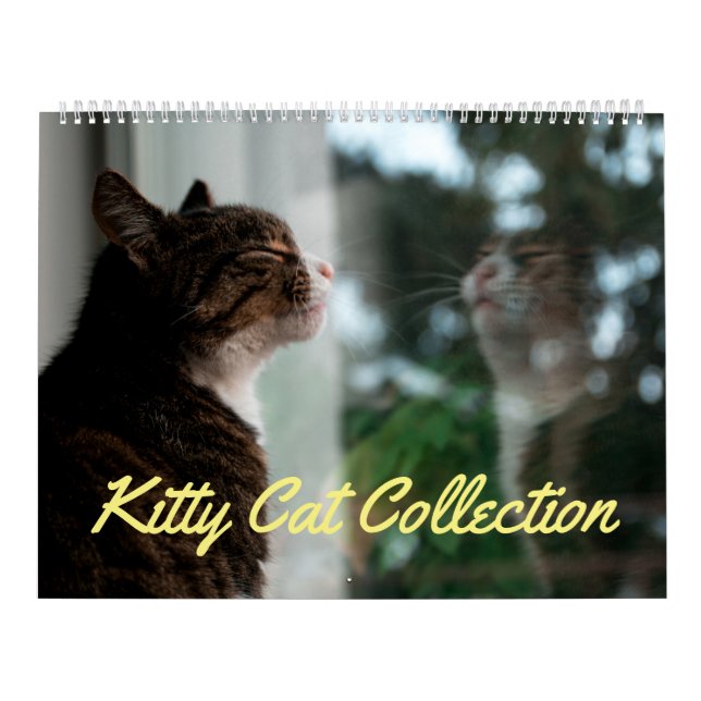 Calendário de Coleção de Gatinhos (Grande) (Capa)