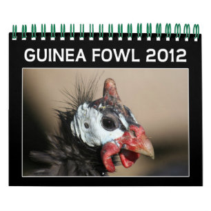Calendário de combate da Guiné para 2012