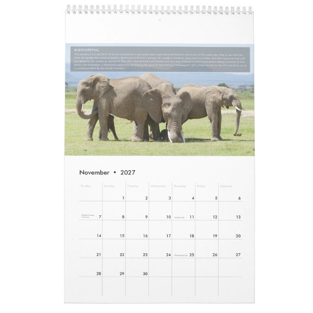 Calendário de Comportamento do Elefante (Nov 2027)
