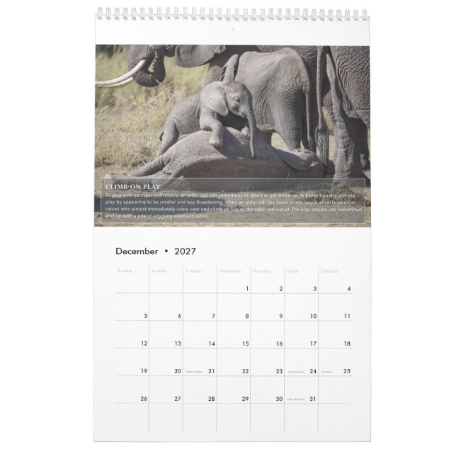 Calendário de Comportamento do Elefante (Dez 2027)