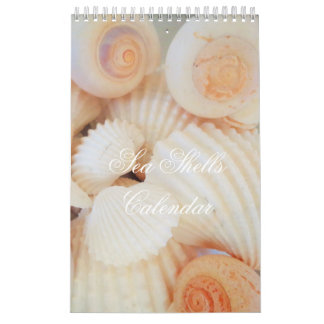 Calendário de conchas marítimas romântico exótico