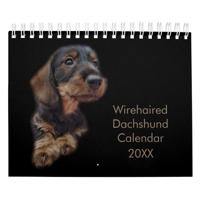 Calendário de Dachshund com Cabeção Wireada (Capa)