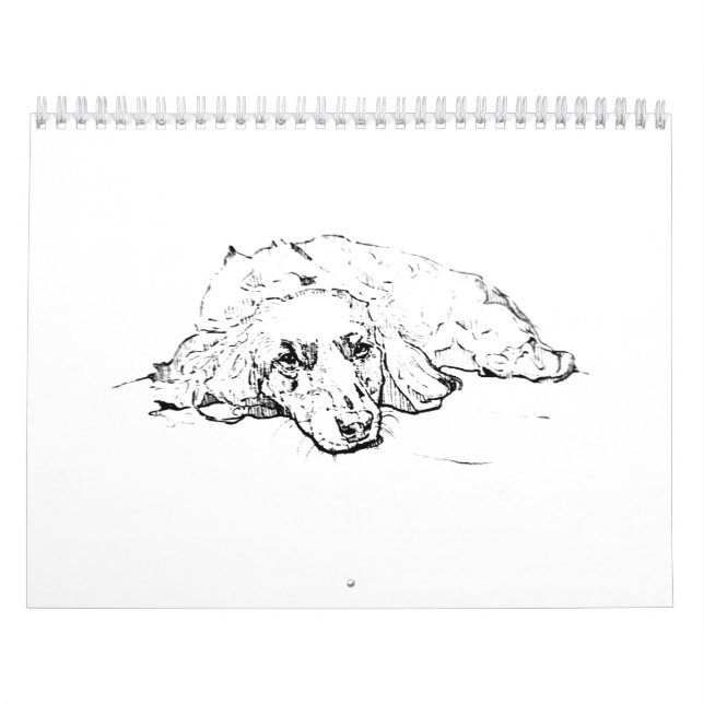 Calendário de Dachshund, Presente de Parede de Wie (Capa)