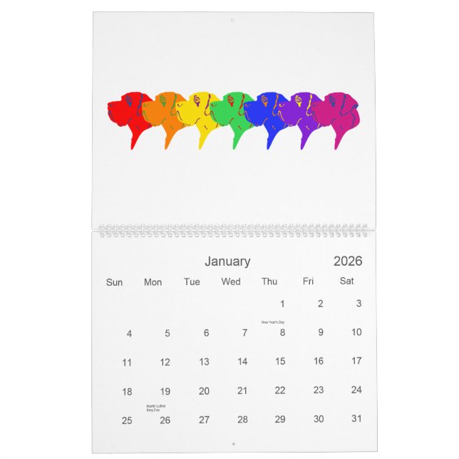 Calendário de Dane Excelente (Jan 2026)