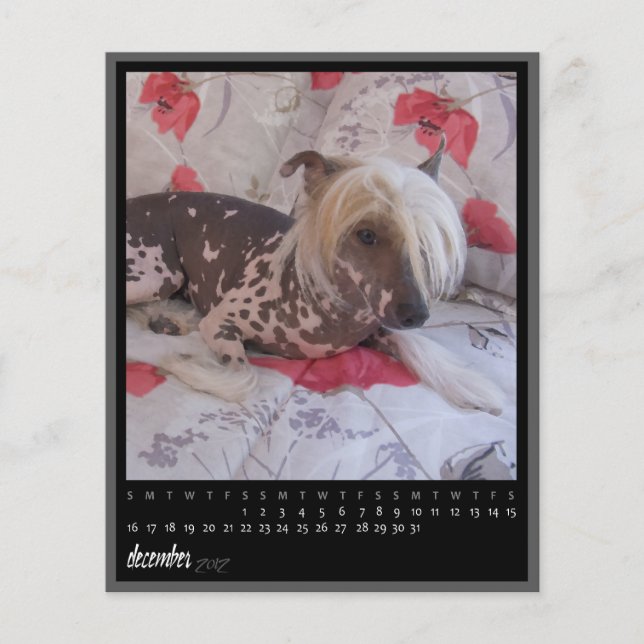 calendário de dezembro de 2012 (Frente)