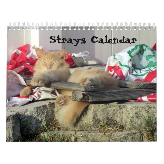 Calendário de Dias (Capa)