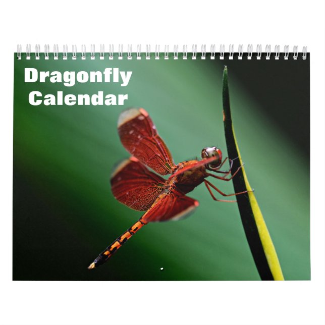 Calendário de Dragonfly 2025 (Capa)