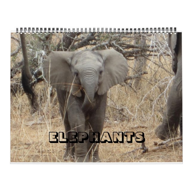 Calendário de Elefantes (Capa)