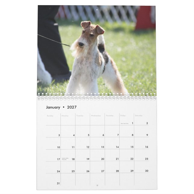 Calendário de Eliza (Jan 2027)