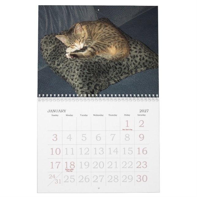 Calendário de Emma (Jan 2027)