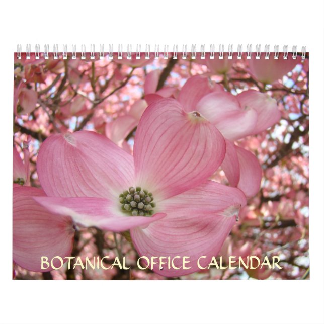 CALENDÁRIO DE ESCRITÓRIO BOTÂNICO Flores Presentes (Capa)