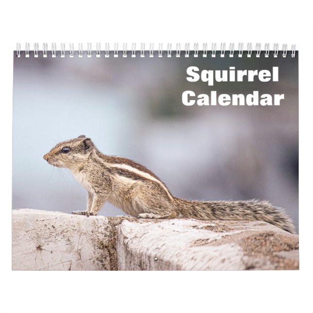 Calendário de Esquilo 2027 (Capa)