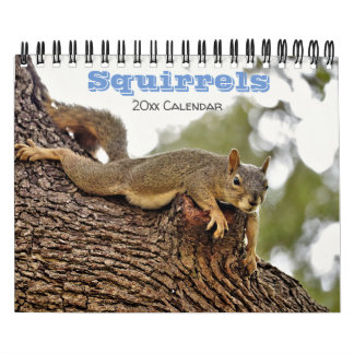 Calendário de Esquilo para amantes de os animais o