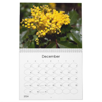 Calendário de Explosão Floral 2024
