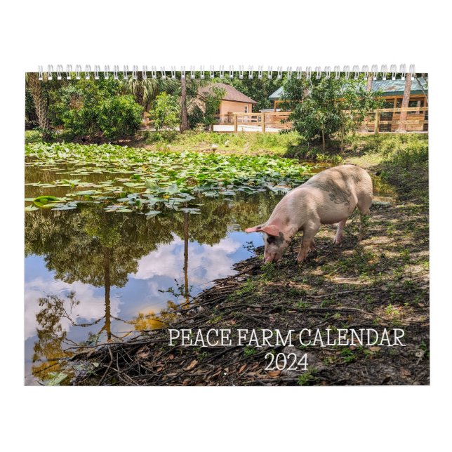 CALENDÁRIO DE FAZENDA DA PAZ 2024 (Capa)