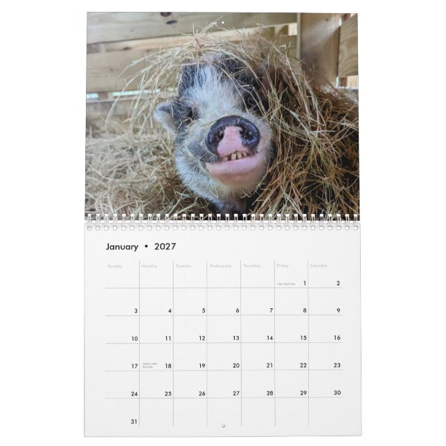 Calendário de Fazenda de Paz (Jan 2027)