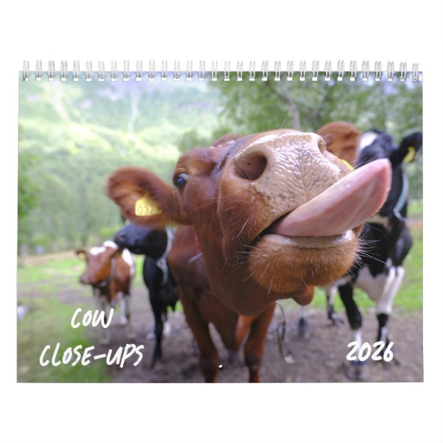 Calendário de Fechamento de Vaca 2026 (Capa)