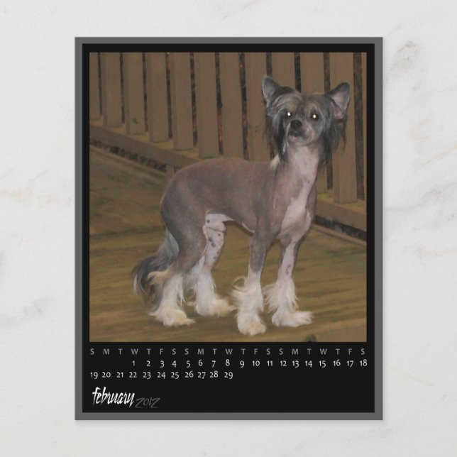 calendário de fevereiro de 2012 (Frente)