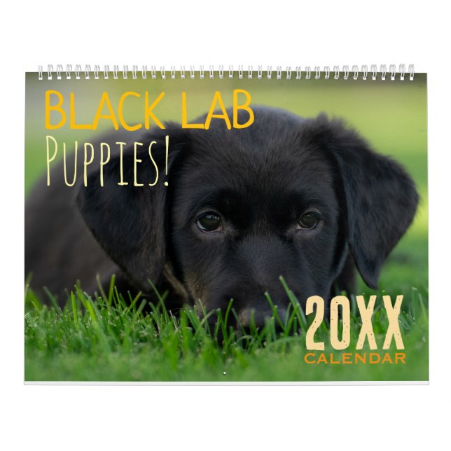 Calendário de Filhotes de Labrador Preto Cachorro  (Capa)
