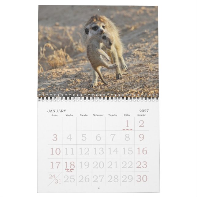 Calendário de FKMP Meerkats 2013 (Jan 2027)