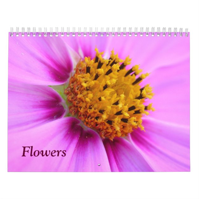 Calendário de Flores (Capa)