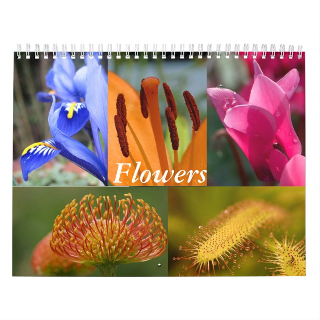 Calendário de Flores (Capa)