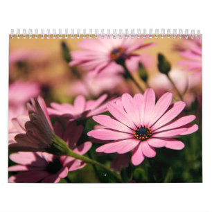 Calendário de flores