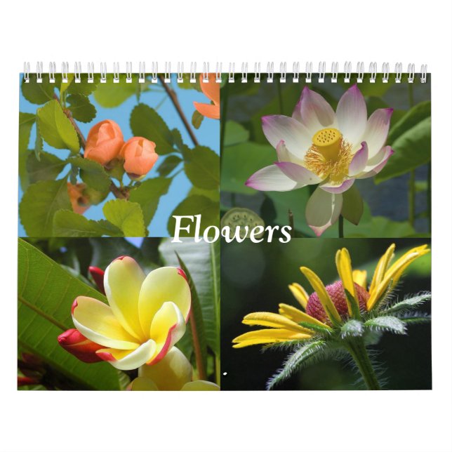 Calendário de Flores (Capa)