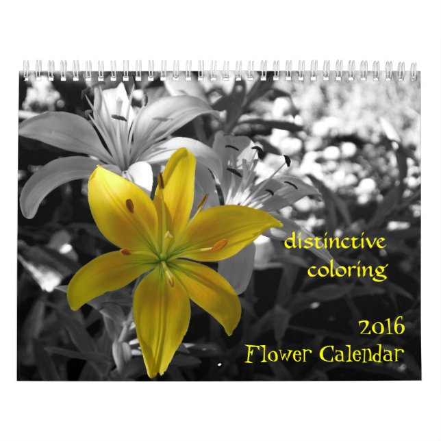 Calendário de Flores de 2016 (Capa)