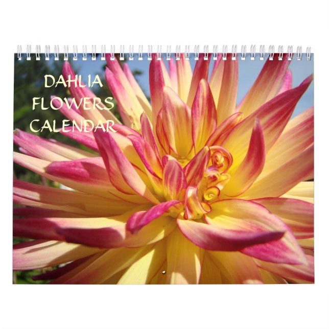 Calendário de Flores de Dahlia Calendário de Escri (Capa)