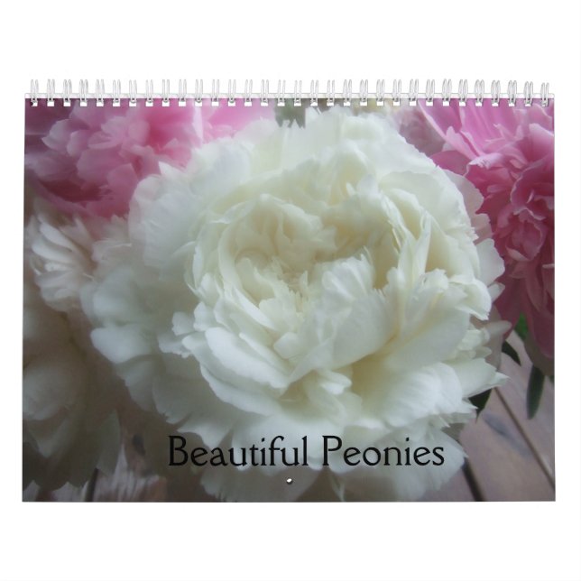 Calendário de Flores de Peões (Capa)