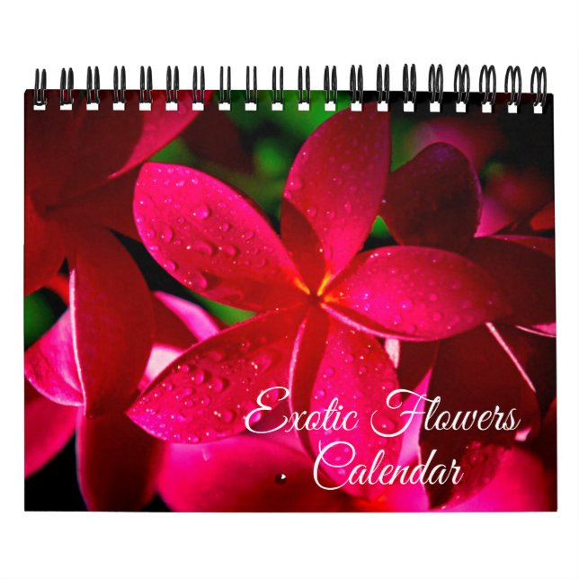 Calendário de Flores Exóticas de Pequeno Porte (Capa)