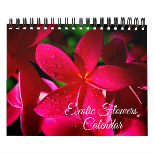 Calendário de Flores Exóticas de Pequeno Porte