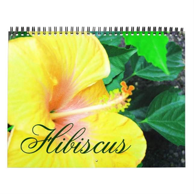 Calendário de Flores Tropicais de Hibisco (Capa)