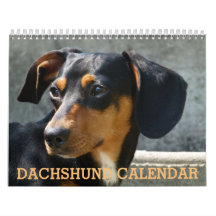 Calendário de Foto Dachshund