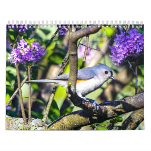 Calendário de Foto de Aves Selvagens
