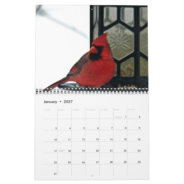 Calendário de Foto Dinâmica 2015 (Jan 2027)