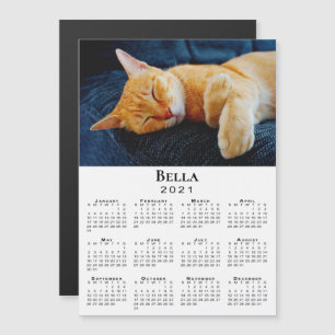 Calendário de Foto e Nome de Pet Personalizado 20