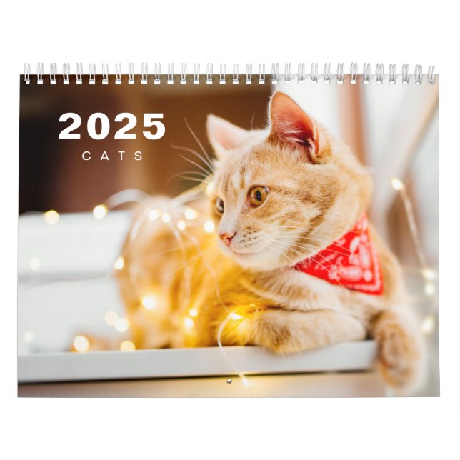 Calendário de Foto Moderno de 2025 Cats (Capa)