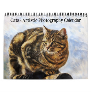 Calendário de Fotografia Artística de Gatos
