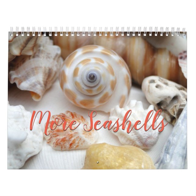 Calendário de Fotografia da Flórida Seashell Volum (Capa)